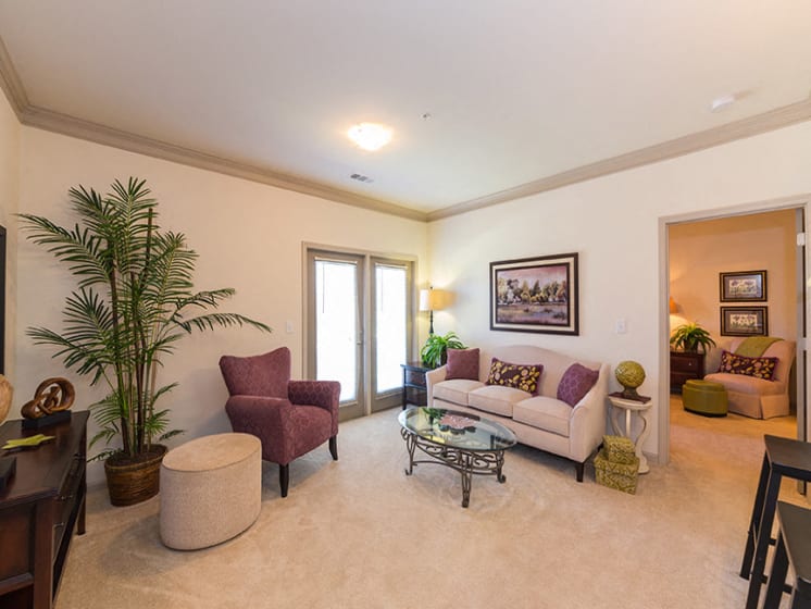 Large Living Room Layout